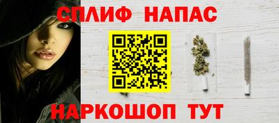 spice Славгород
