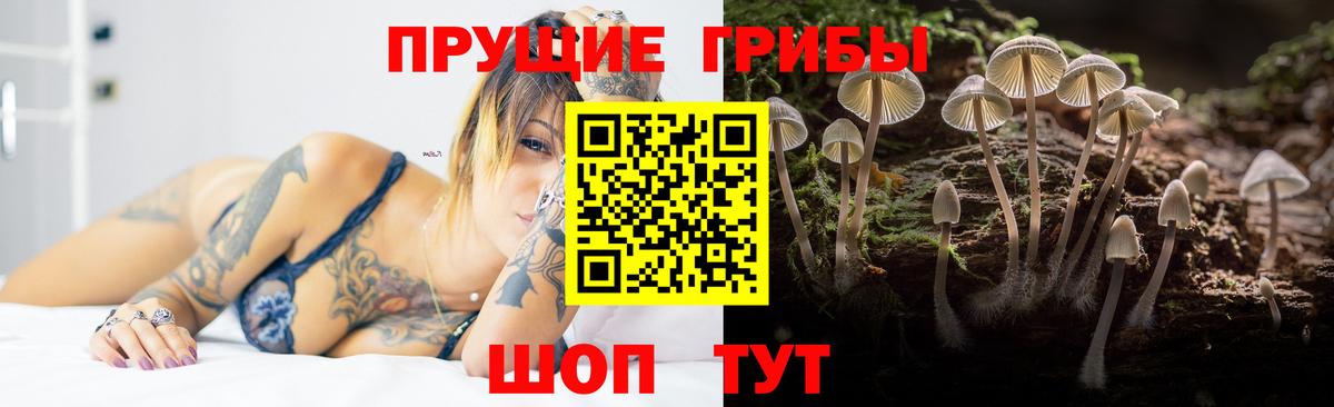 Псилоцибиновые грибы GOLDEN TEACHER Новый Уренгой